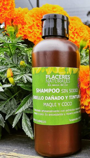 SHAMPOO CABELLO DAÑADO Y TINTURADO